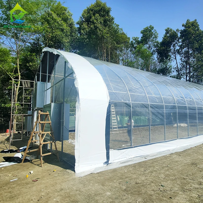 Hot Dip Galvanized Pipe Steel Agricultural Single-span Plastic Film Agricultural Tomato Farming Greenhouses Kit