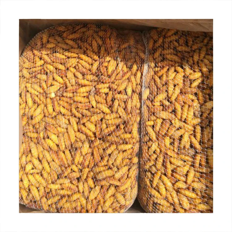 
SANFENG SEAFOOD Wholesale Frozen Silkworm Chrysalis Frozen 