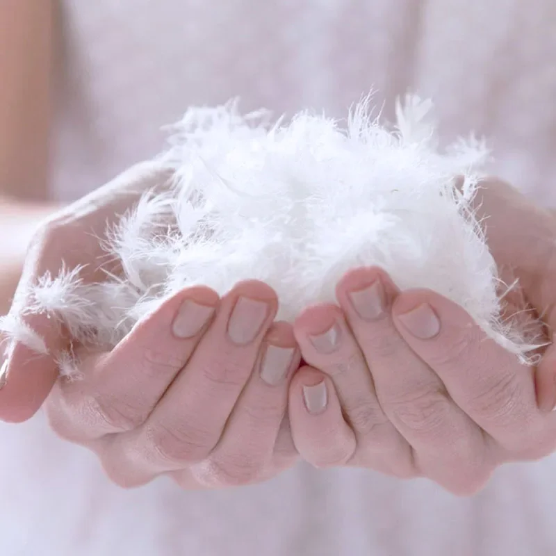 Winter Thick Cotton Fabric Soft White Goose Feather Duvet Bedding Set