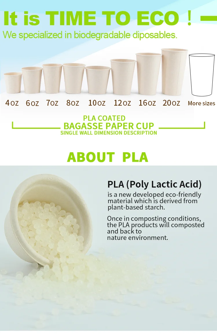 Coffee Cup with Lid Single Wall Paper Cup Wholesale biodegradable cups Paper Printed Disposable Craft Paper Beverage Round