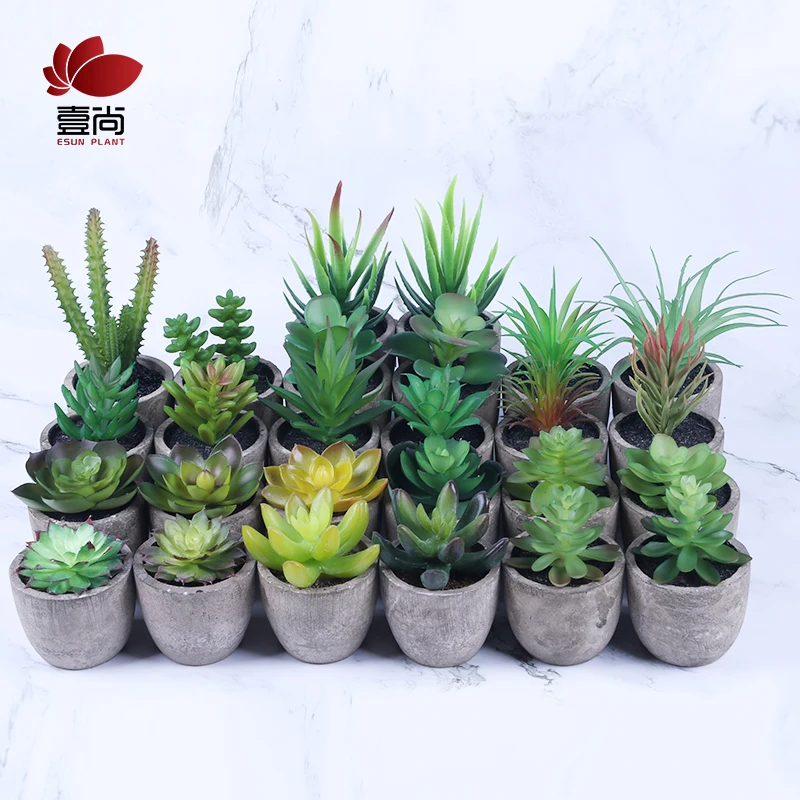 succulents plants artificial China suppliers Best price Office small decoration artificial succulent plants potted ES0880