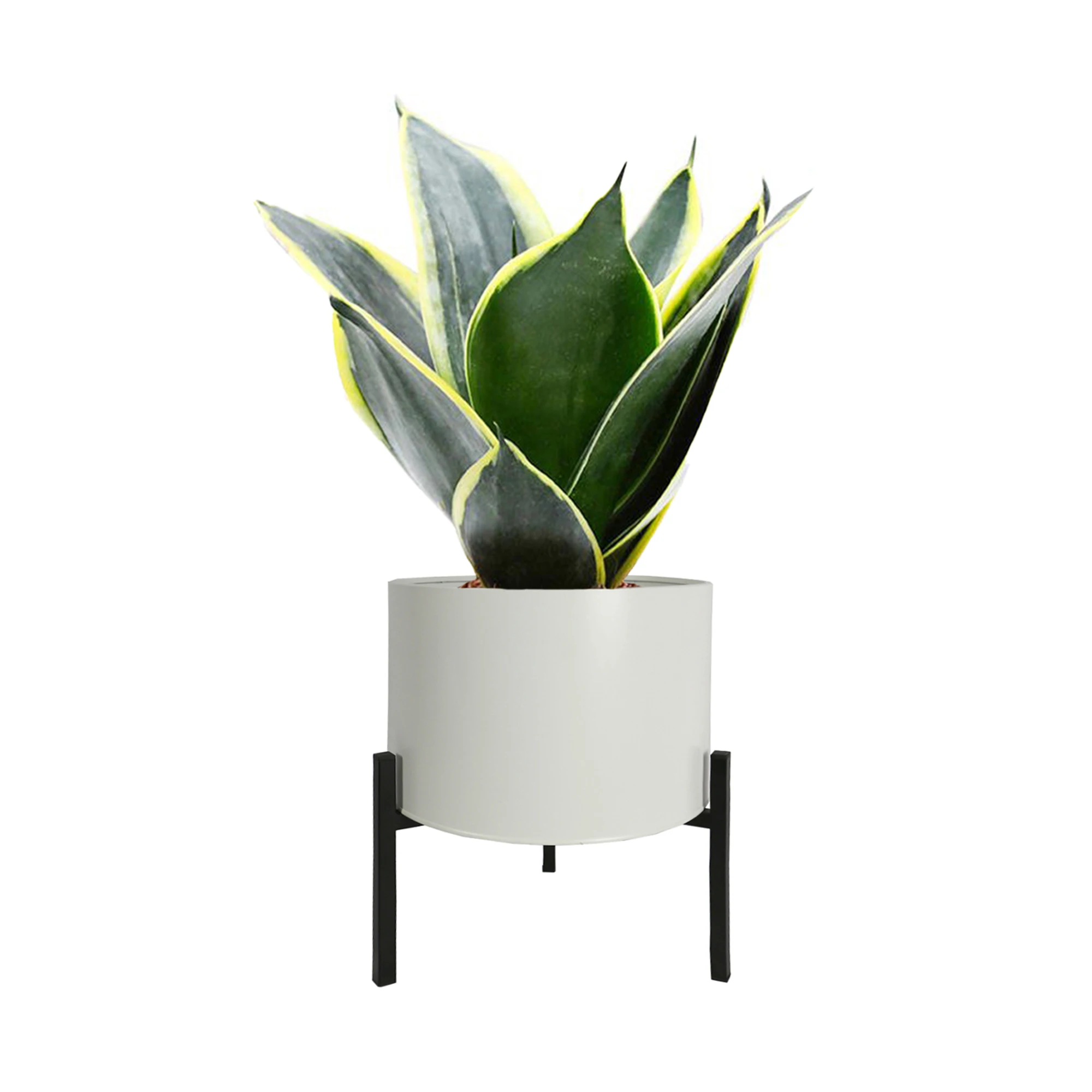 
Amazon Modern Black Nordic Supplier Steel Plant Pot With Stand White Round Indoor Flower Pot and Planter White Pot for Plant 