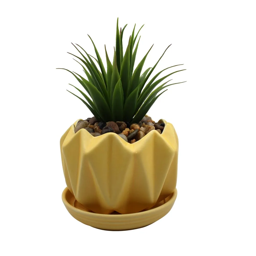Ceramic  flower  pot for succulent plant