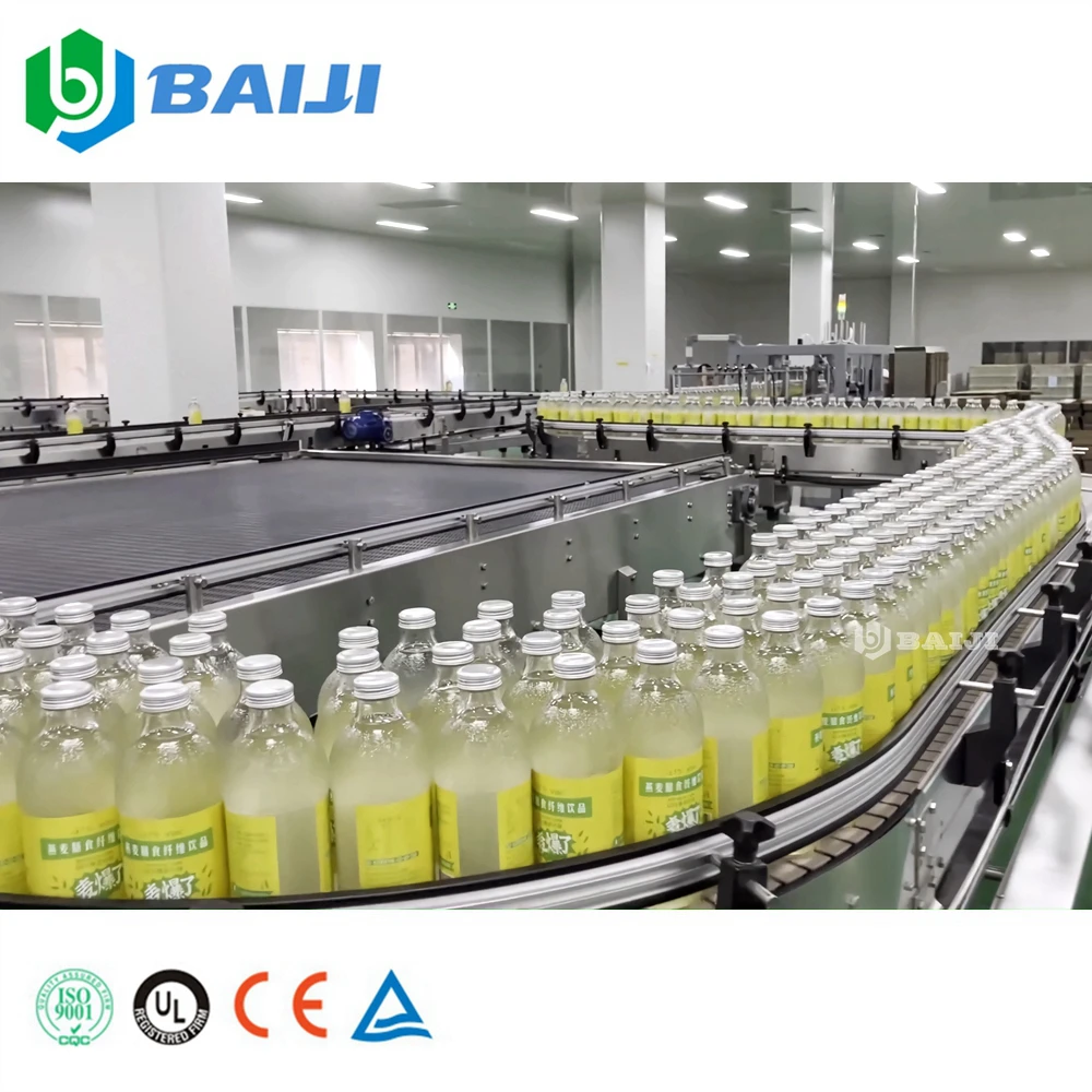 300ml-1000ml glass bottle pomelo fruit juice making filling machine production line