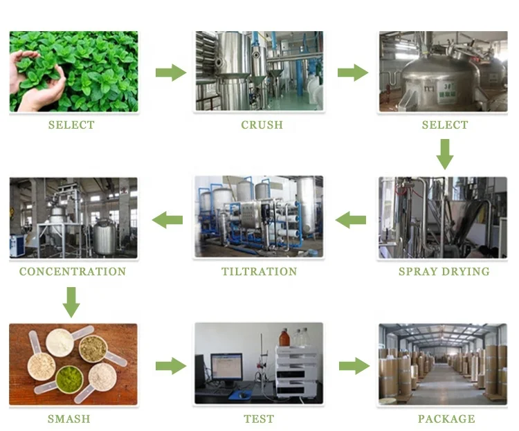 Hot sale! Factory-supplied high-purity VBE (Vanillyl Butyl Ether) with a 99% CAS 82654-98-6 at the best price