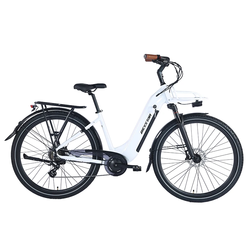 500w 36 v 10Ah europe electric bike battery cycle,electric bikes for sale,e bike hub motor electric by cycle BAFANG MOTOR