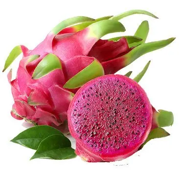 Wholesale 100% Natural Red Flesh Dragon Fruit Organic Fresh