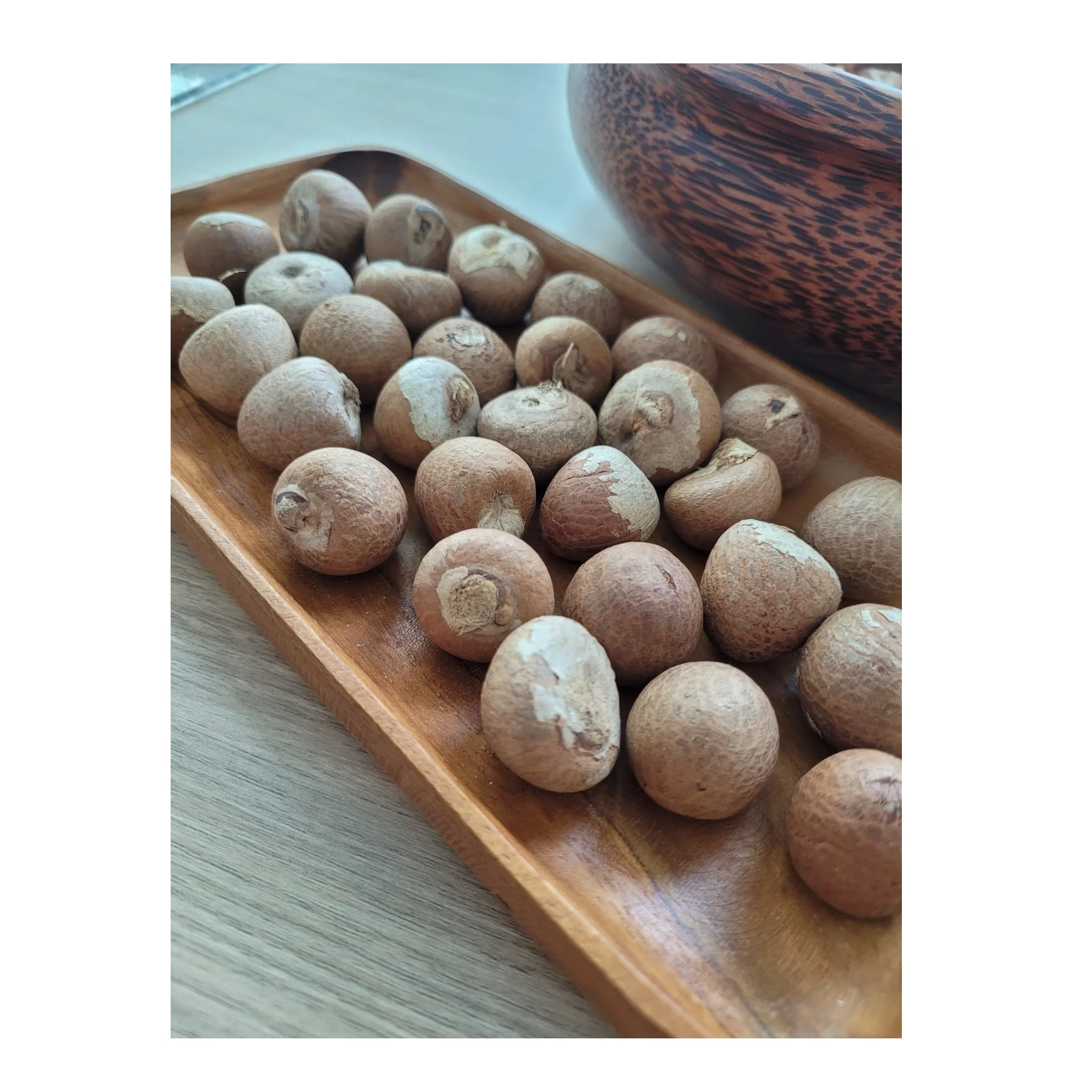 Great Quality Betel Nuts SIZE 70/75 from Indonesia at Best Price Wholesale Price Raw Betel Dried Best Selling Export Quality