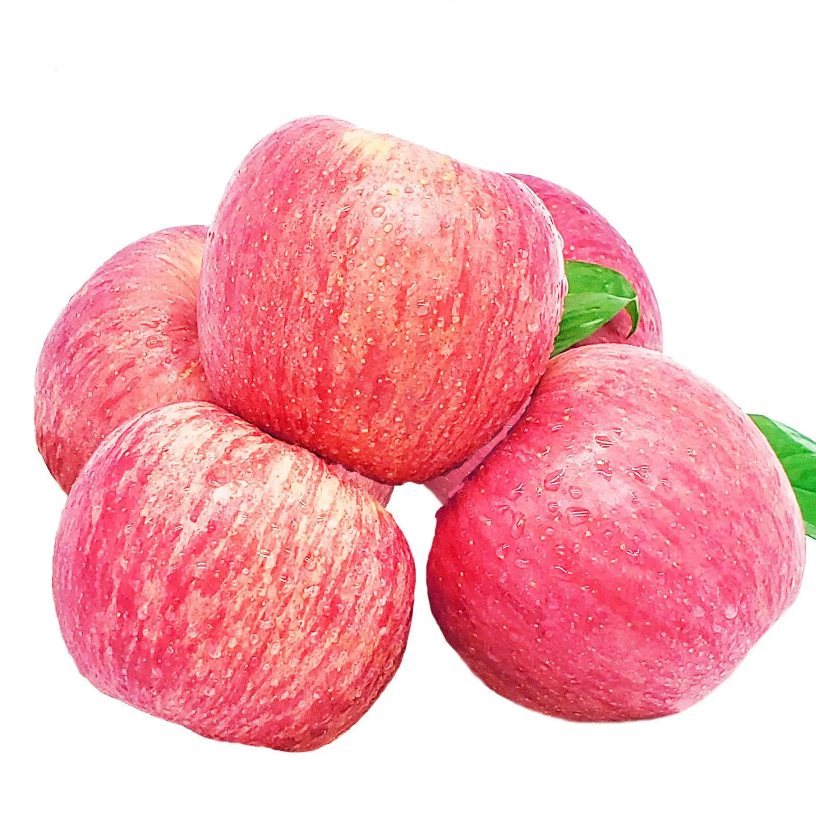 China New Crop Fuji Apple Natural Fruit Fresh Apple