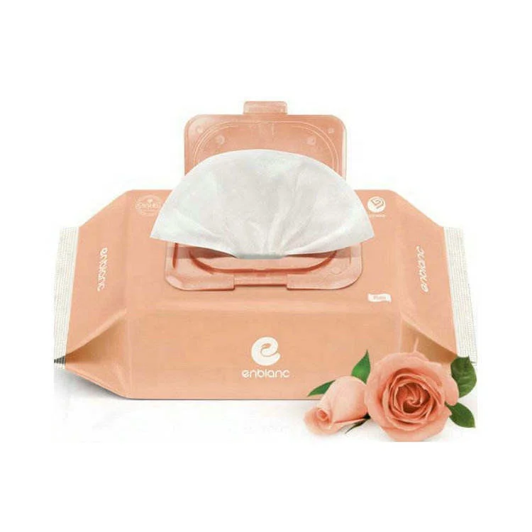 China Manufacturer Private Label Baby Wipes 80 Sheets per Pack Baby Tender Wet Wipes