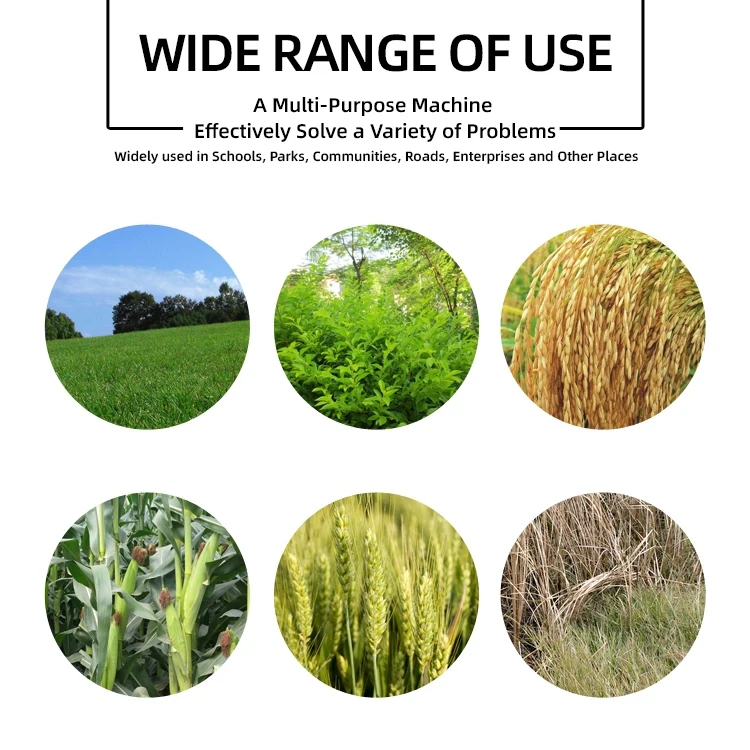 Professional Manufacturer Portable Gasoline Grass Brush Cutter Garden Brush Cutter