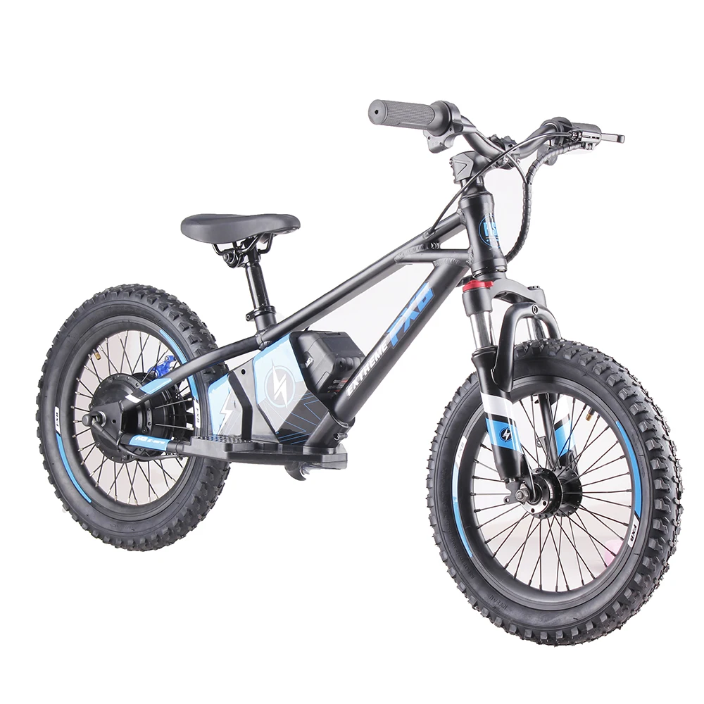 Best seller Electric Balance Motorcycles Off Road mini Bike for Kids Around the World