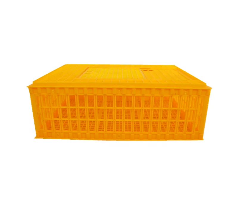 Best selling poultry transport crate/New material transport cages/chicken transport cages of various sizes