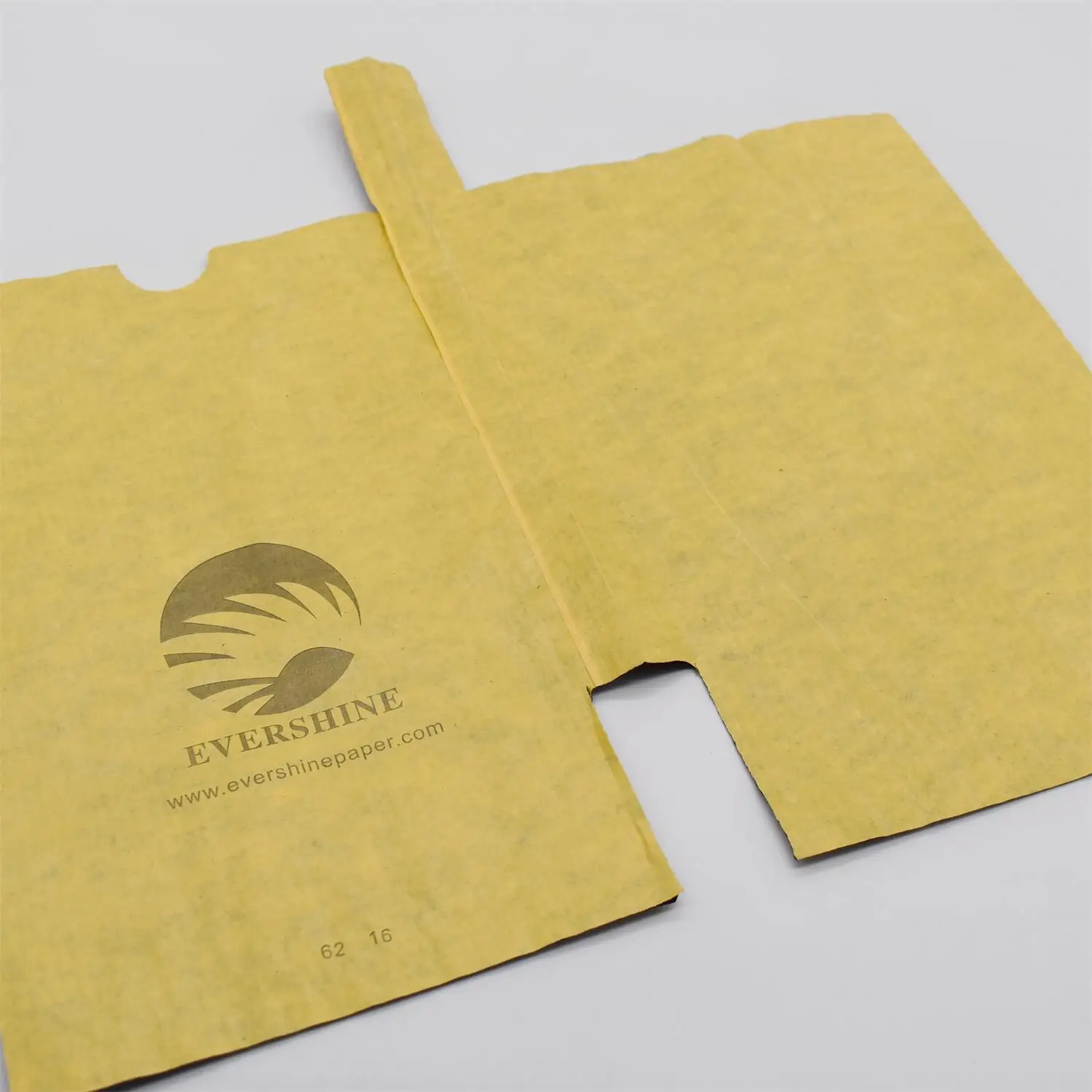 Waterproof Insect Prevention Mango Protection Bag Coated Paper 2 Layers Fruit Bag For Protection