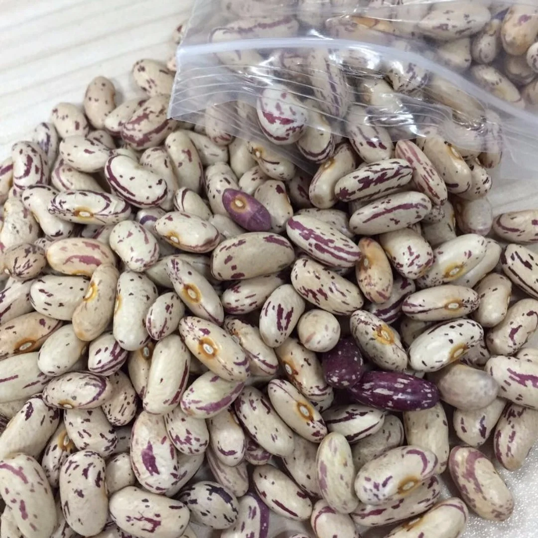 
Speckled Kidney Beans 