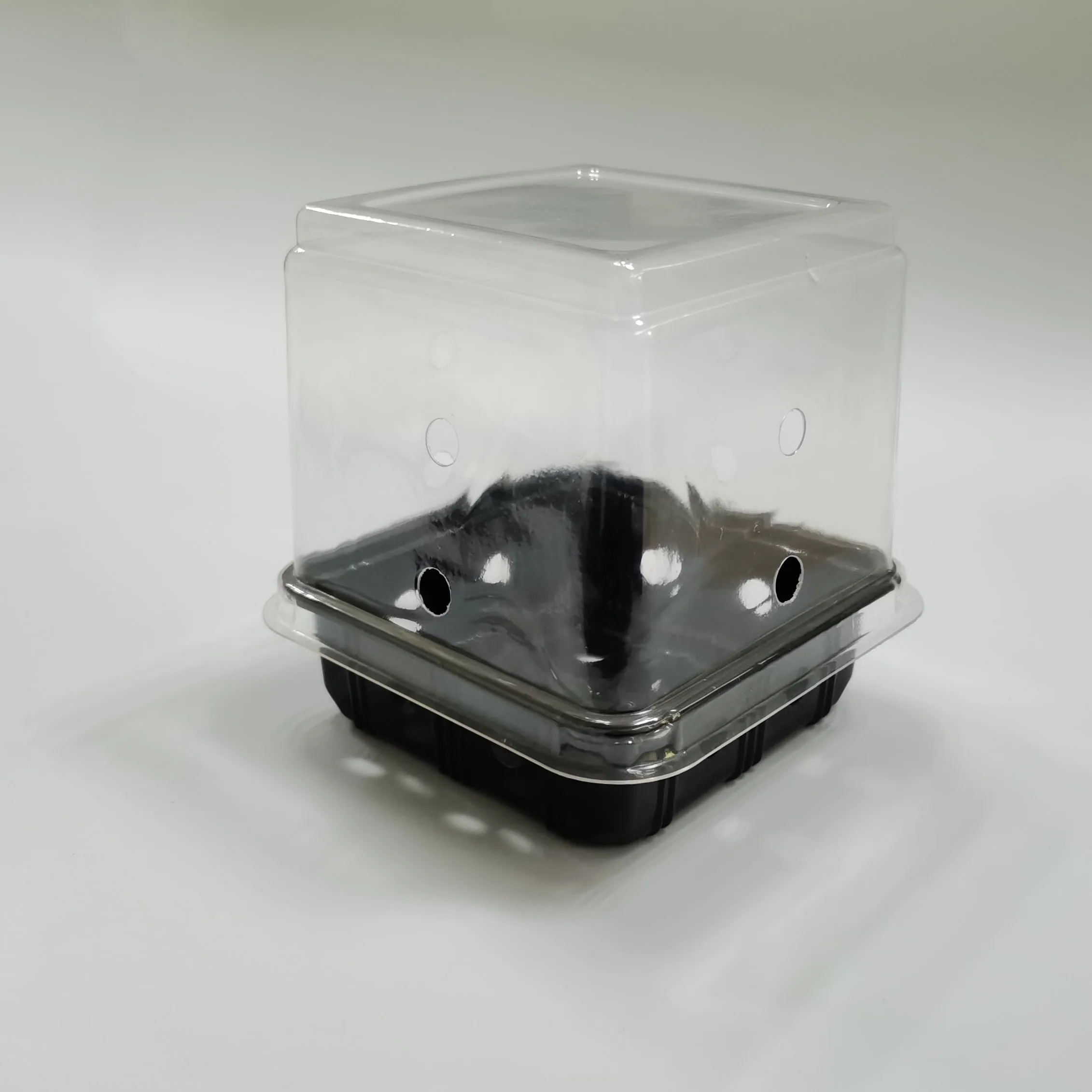 
Hot sale Transparent Clear Disposable Blister Container For Herbs Lettuce Packaging Box 