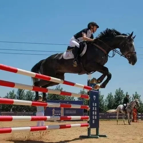 Конный спорт соревнования по конному спорту