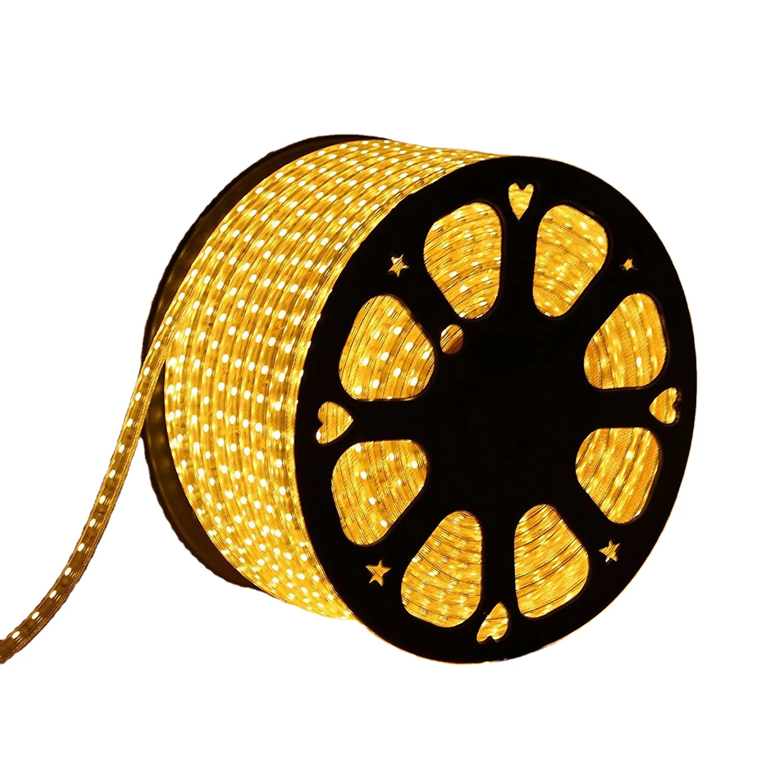 wholesale 2 wire 100M RGB/ Single color 110V/220V waterproof decoration flexible Ribbon Tube led rope light with Power