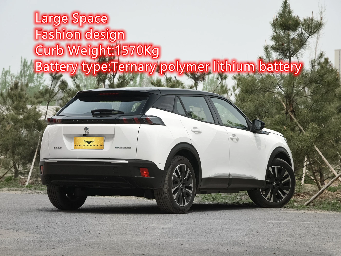 New energy car with factory price Long range ev with fast charging China electric vehicle PEUGEOT-E-2008