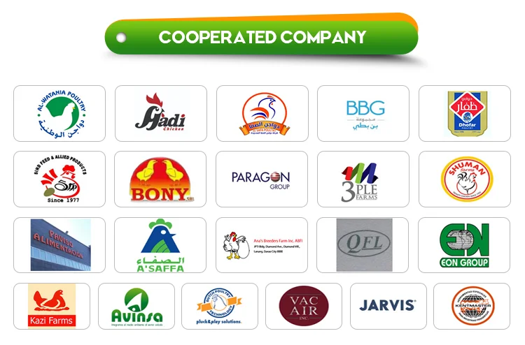 Best price stainless steel complete 1000 bph poultry slaughtering equipment