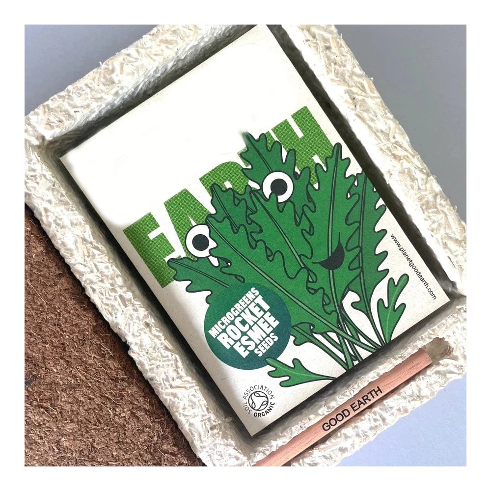 Grow small vegetables in rich soil grow 5 fresh vegetables in your own home Microgreen garden indoor or outdoors