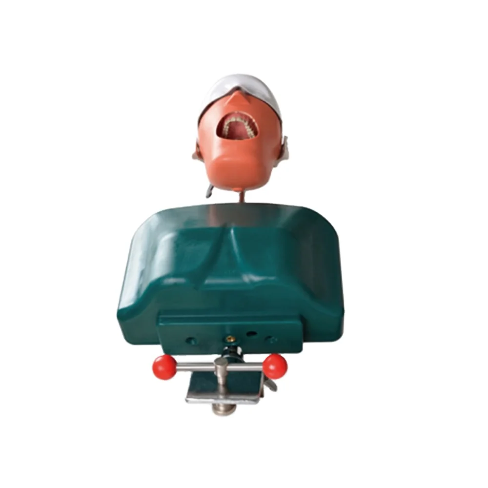 Dental Senior Manikin With Torso Phantom Head Simulation Patient Unit