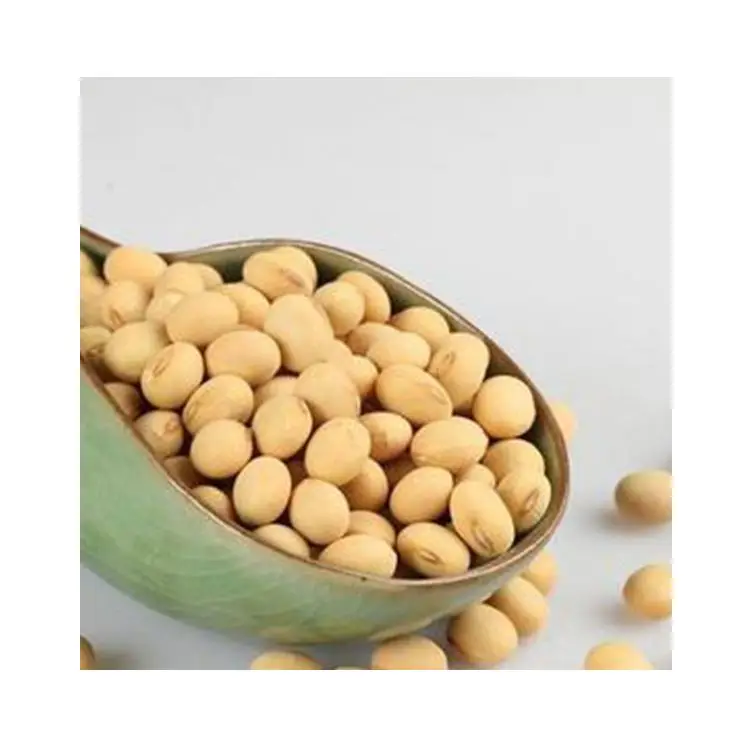 Superior Natural Agricultural Product Organic Quality Soybean