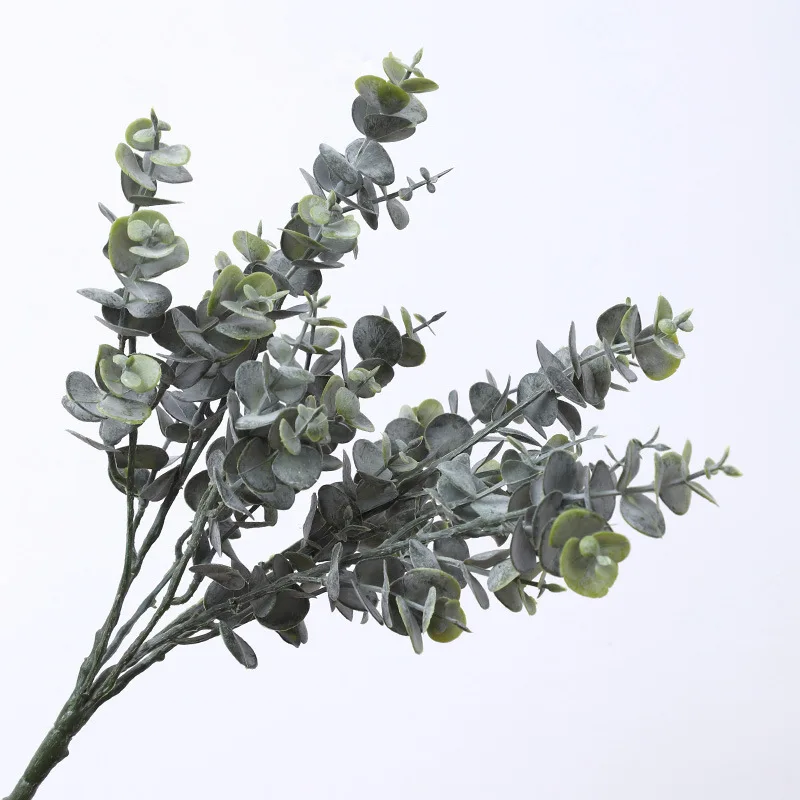 2022 new arrivals  natural dry eucalyptus leaves dried flower decorative