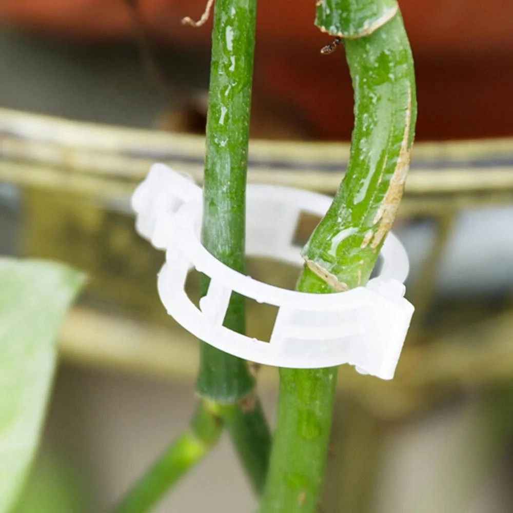 Manufacture cheap plastic buckle plant hanger hanging seedlings transparent plant silicon tomato vine graft clip