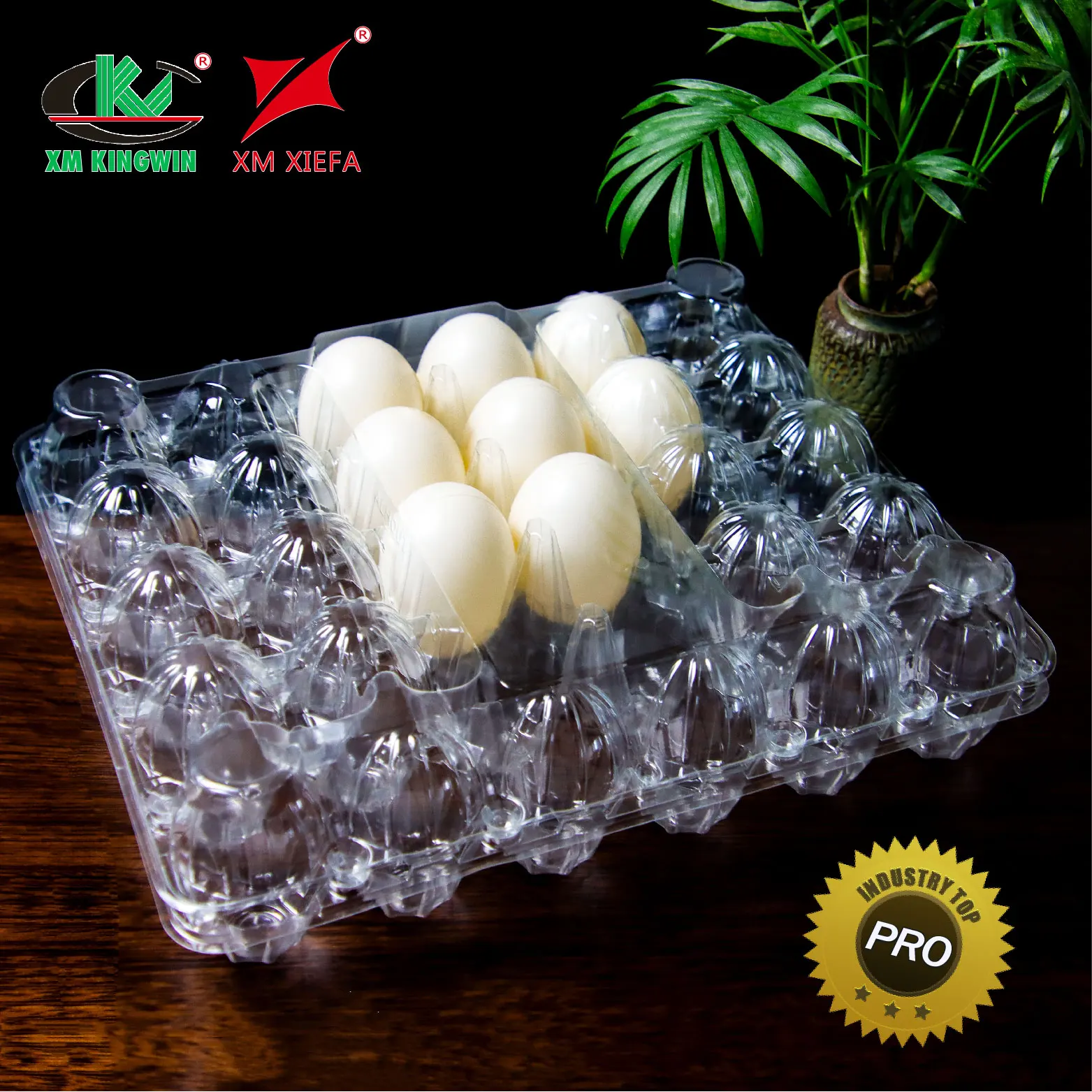 Customized PET Egg Packaging Tray Quail Egg with 30 Holes Transparent Blister Tray