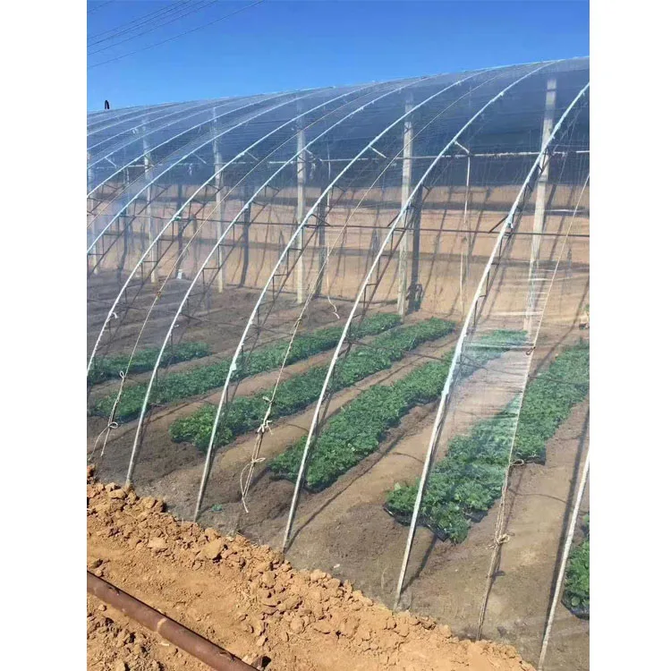 Garden plant cover 8mil clear greenhouse film 7*50m UV plastic film for grow tunnel
