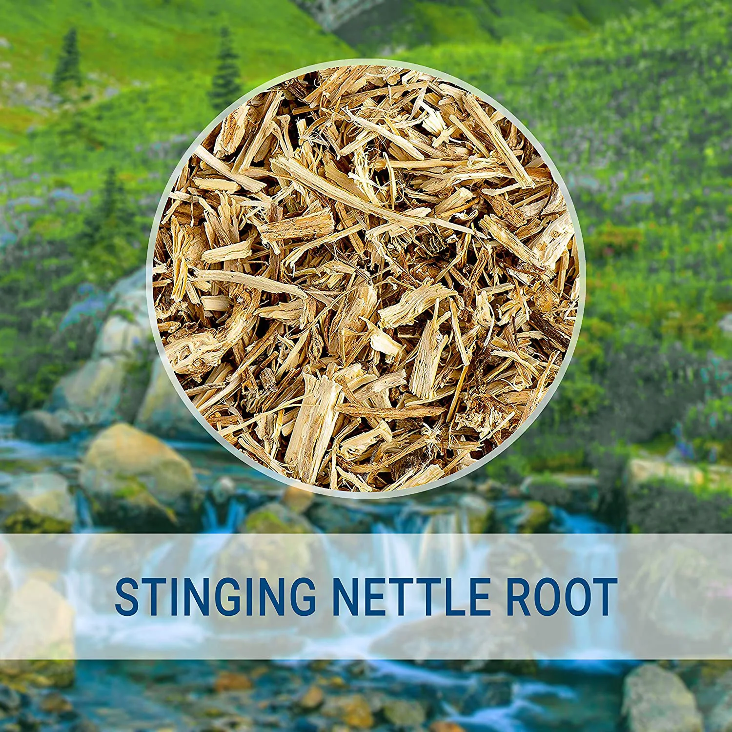 Herbal Supplement Concentrated Dark Green Nettle Leaf Liquid Drops Nettle Leaf Extract Supports Prostate Function