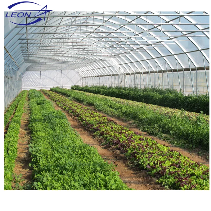 
Leon series best price hot sale plastic film and polycarbonate sheet greenhouse for sale 