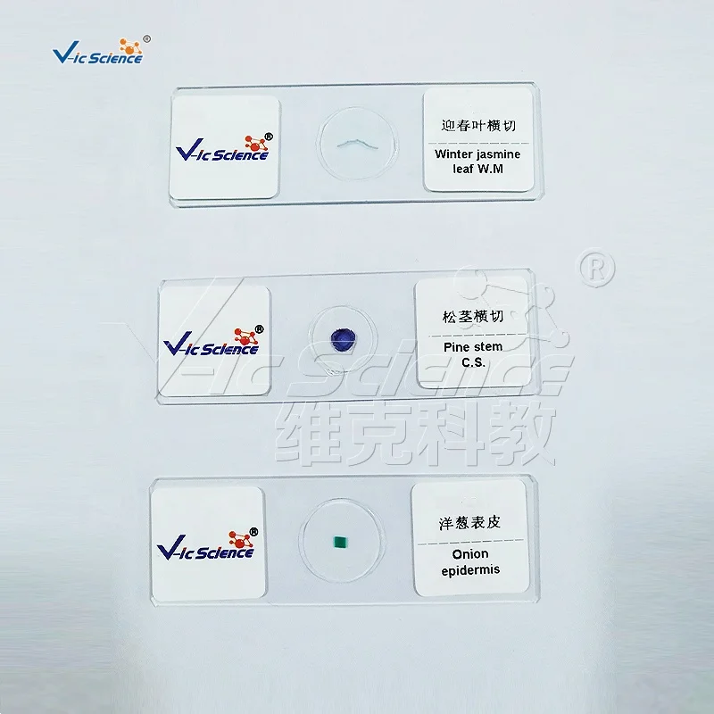 Microscope Prepared Slides 25 Piece Biological Microscope Lab Educational Glass Slides Set Biology Slides