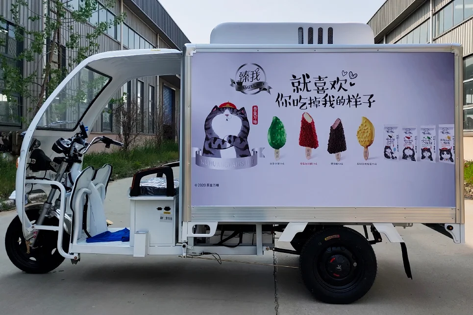 Best Refrigerator Three Wheel Mini Truck Electric Tricycle With Cargo Box