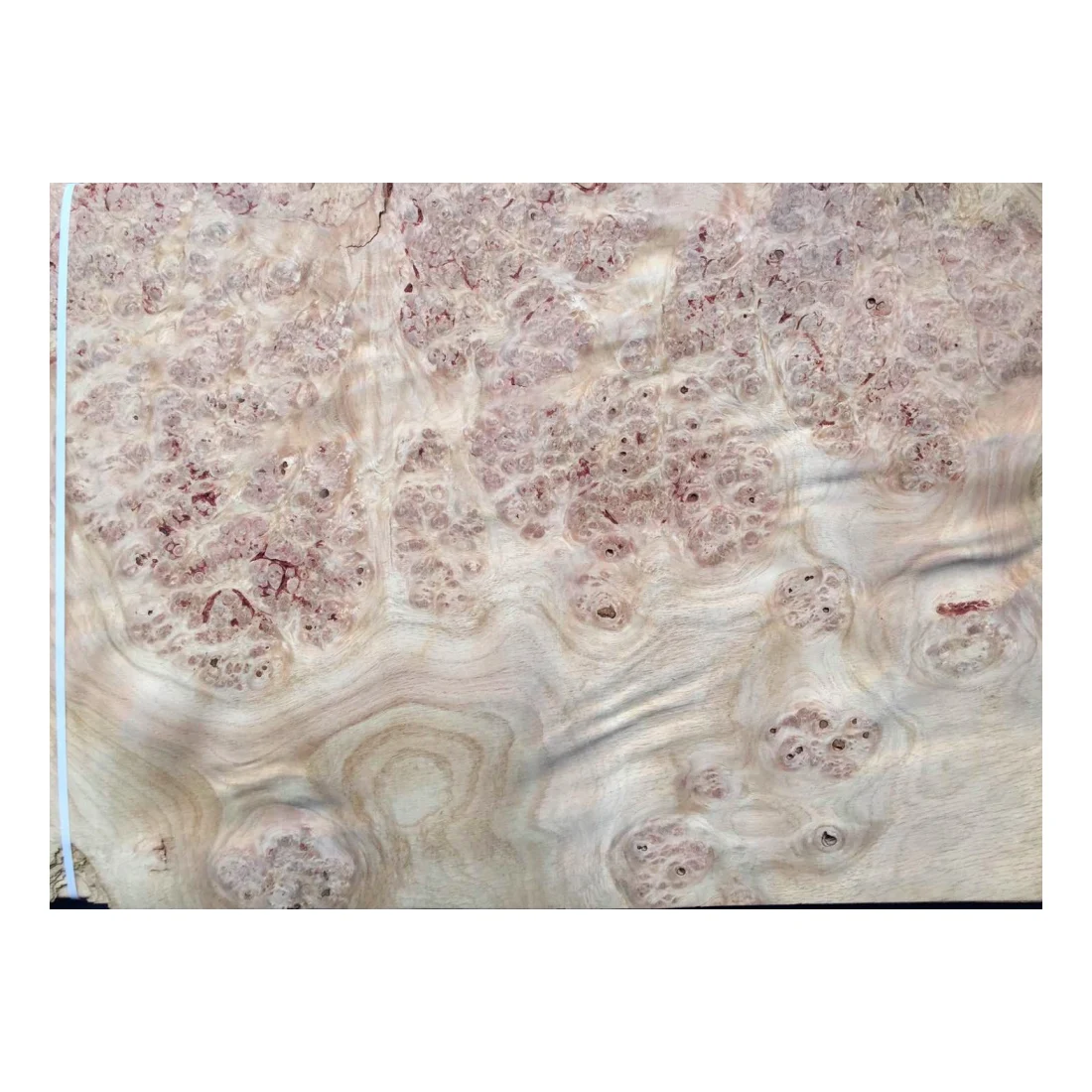 Exotic Oak Burl Veneer for Hotel Decoration