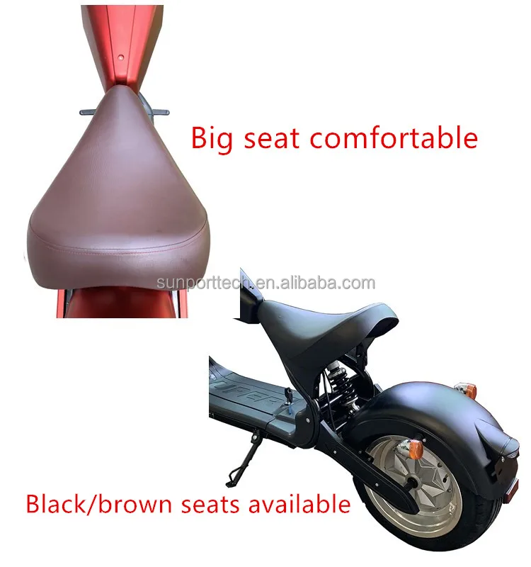 citycoco scooter_4.jpg