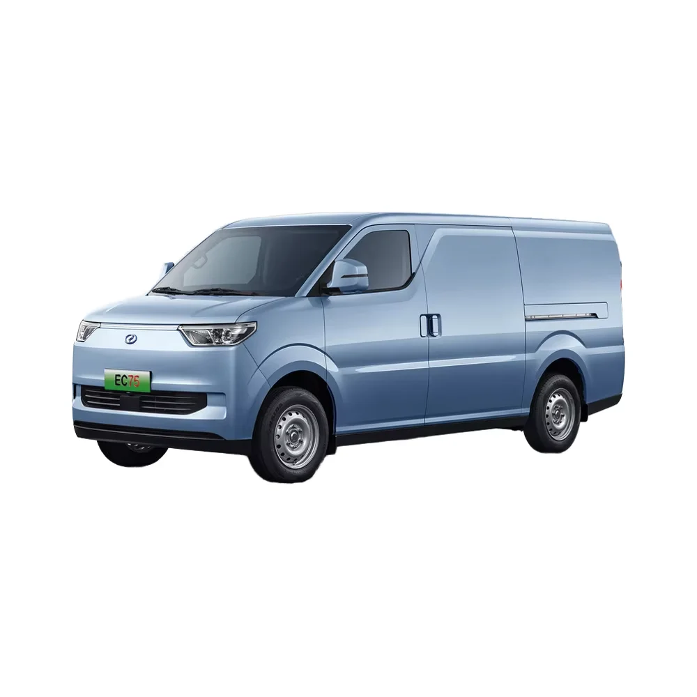 Electric cargo ev van Ruichi EC75 310km long range Front Wheel Drive 2 seater large cargo space with sliding doors