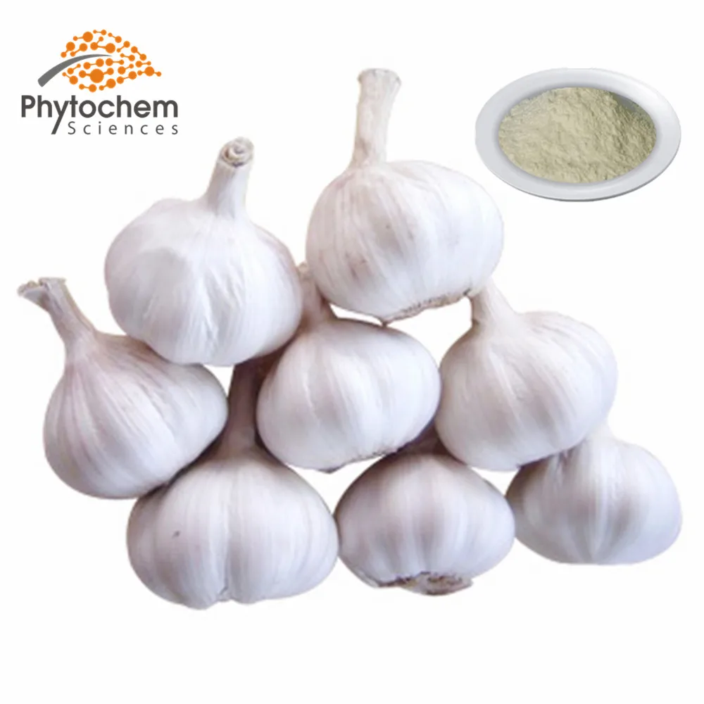 Пищевой 100% чистый органический китайский стандартизированный экстракт чеснока, аллицин % 10, экстракт чеснока в порошке