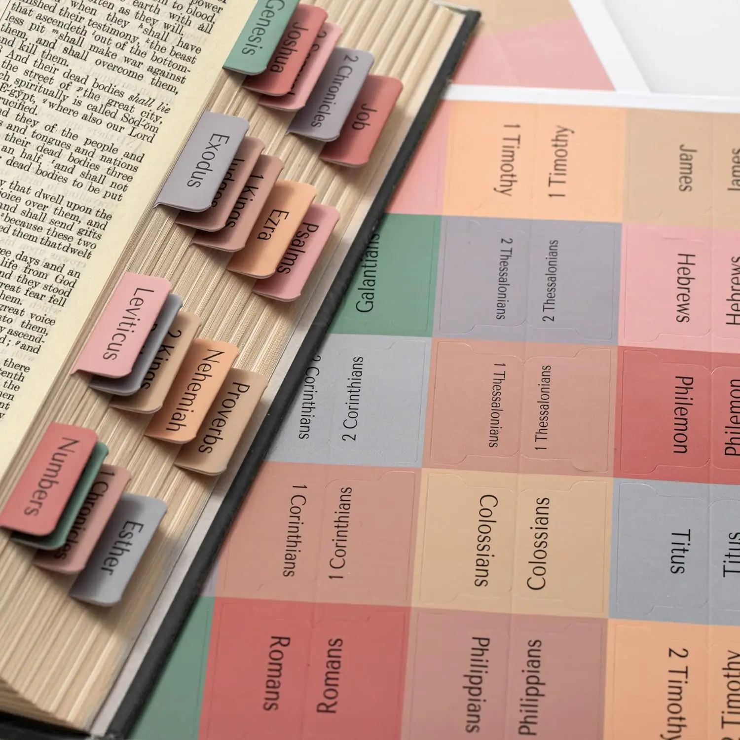 Custom Bible Tabs Dividers  for Study Bible Large Print Earth Toned 80 Laminated Bible Tabs