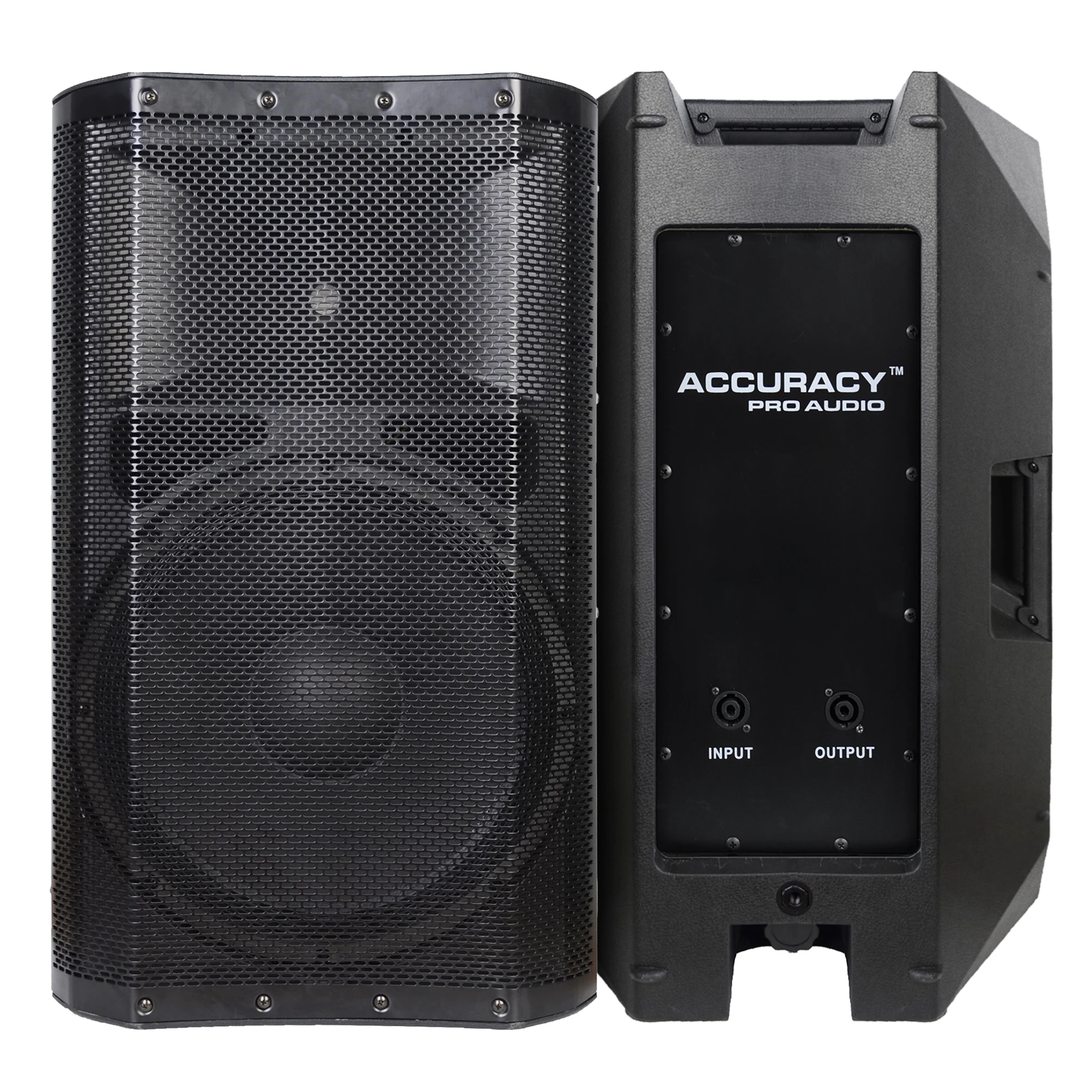 Accuracy Pro Audio CBN12 speakers 12 inch 350W Plastic dj party home soundbox Passive Speaker box