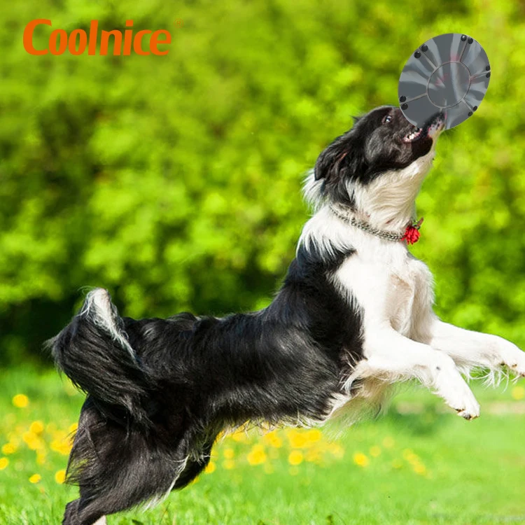  2020 Amazon Portable Foldable Collapsible Travel Pet Food Dog Bowl Silicone Training