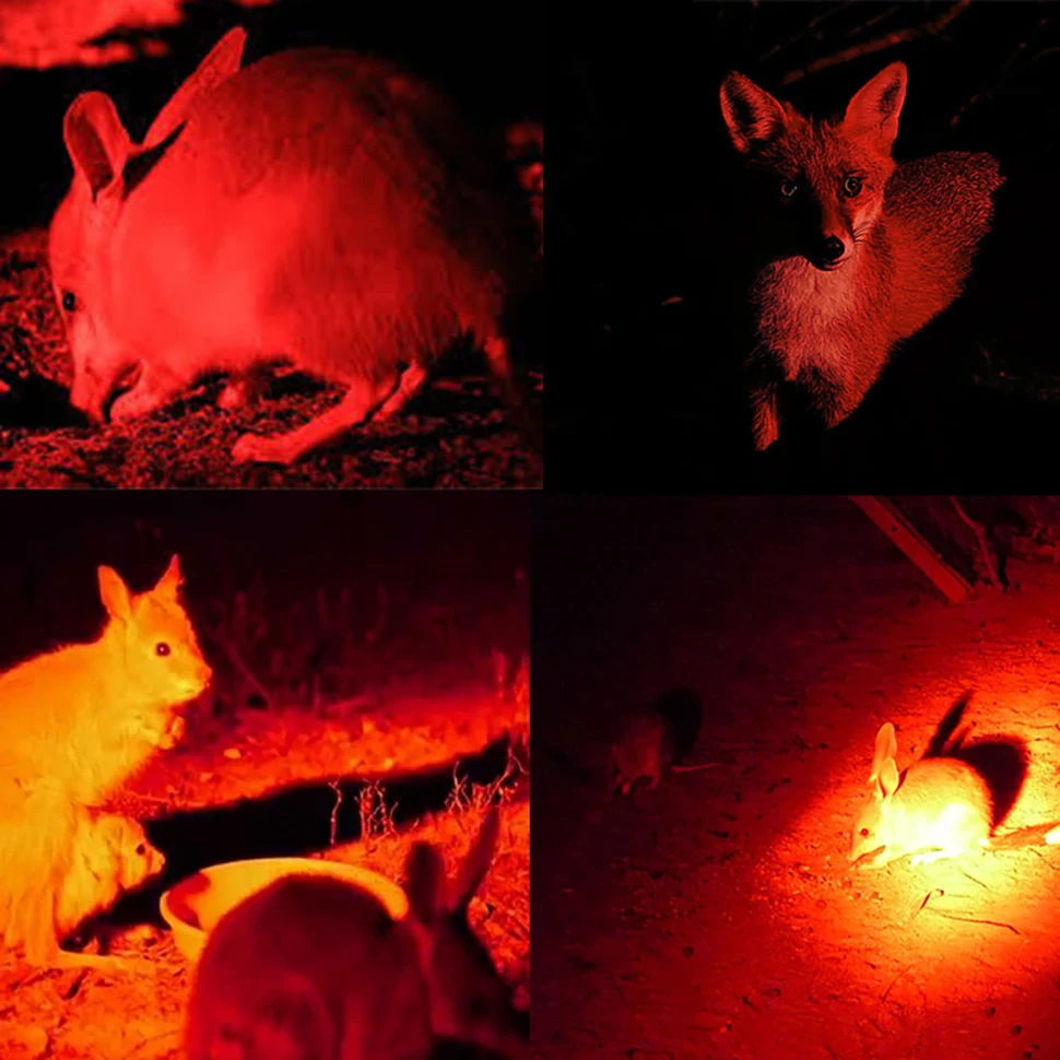 2200mAh USB Rechargeable Red Green Torches Light 1600 Lumens LED Tactical Flashlight with Pressure Switch