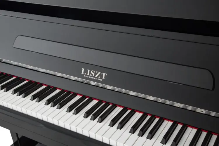 Low Price Of Brand New Flower Box Piano  High-End Vertical Mark Piano Mid-To-High-End Upright Piano