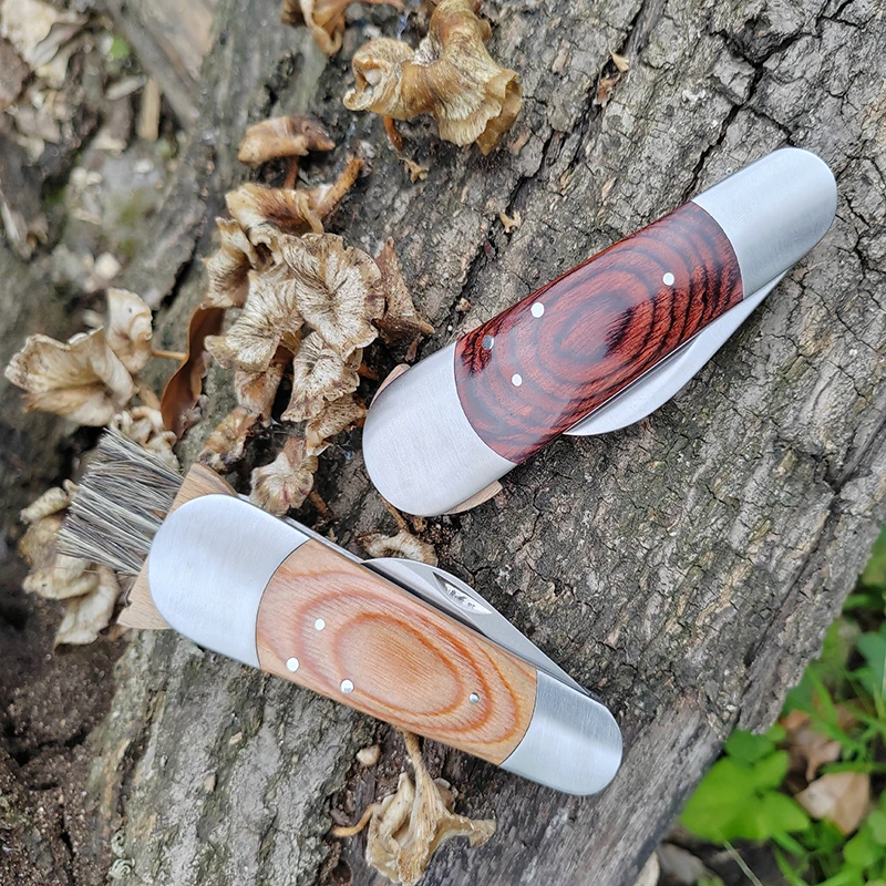 Hot selling wood handle Truffle knife camping folding mushroom knife with brush