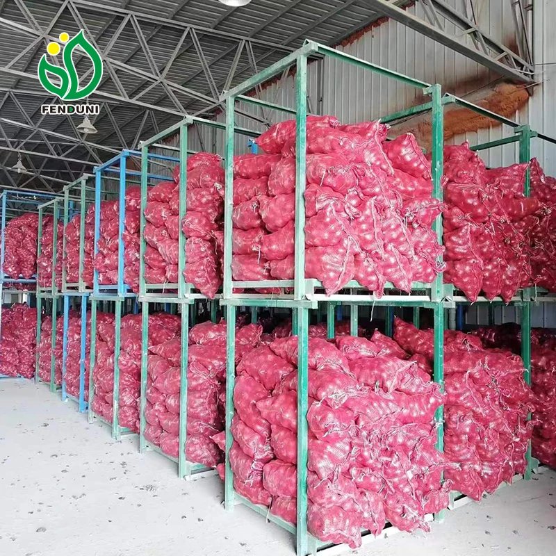 2024 New Crop Order Cheap Price Onion from China ( Red Onion/Yellow Onion)