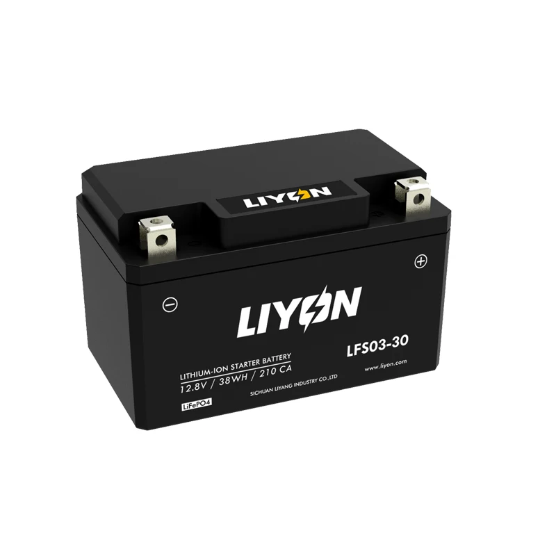 Electric Car Forklift Lithium Ion Battery Phosphate Battery Pack Electric Vehicle Battery