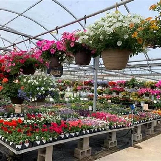 plastic hanging flower  baskets