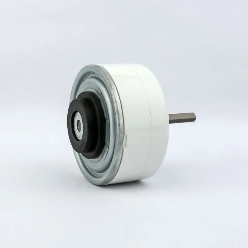 
Customized good quality OEM ODM totally enclosed/waterproof BLDC PM motor 