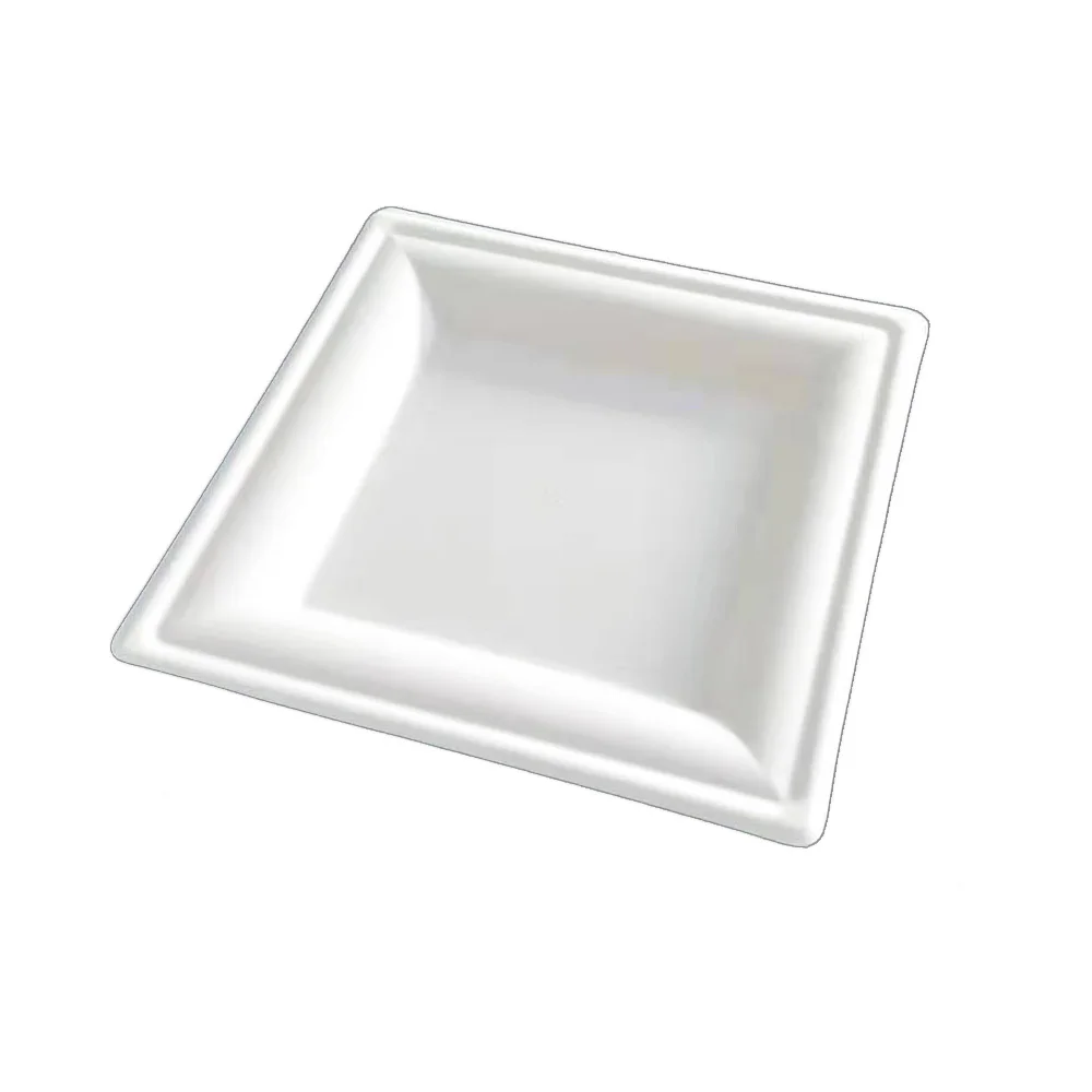 
Plant fiber 6 inches square eco friendly disposable plates moulded pulp party paper plate for outdoor picnic 